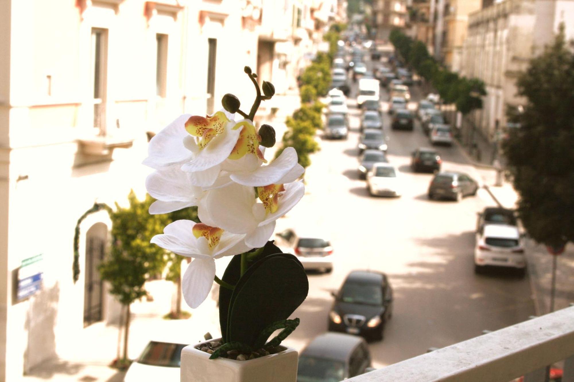 Dimore Demetra Canosa di Puglia Exterior photo